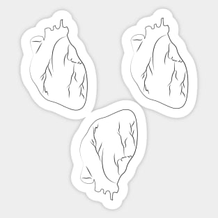 Black and white Anatomical Heart Pattern Sticker